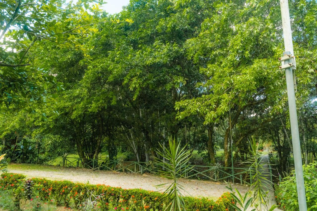 La Fortuna Natural Green ภายนอก รูปภาพ